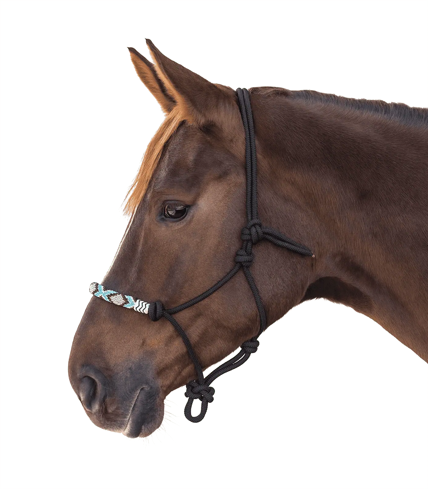 Waldhausen Knotenhalfter Pearls, schwarz, Pony