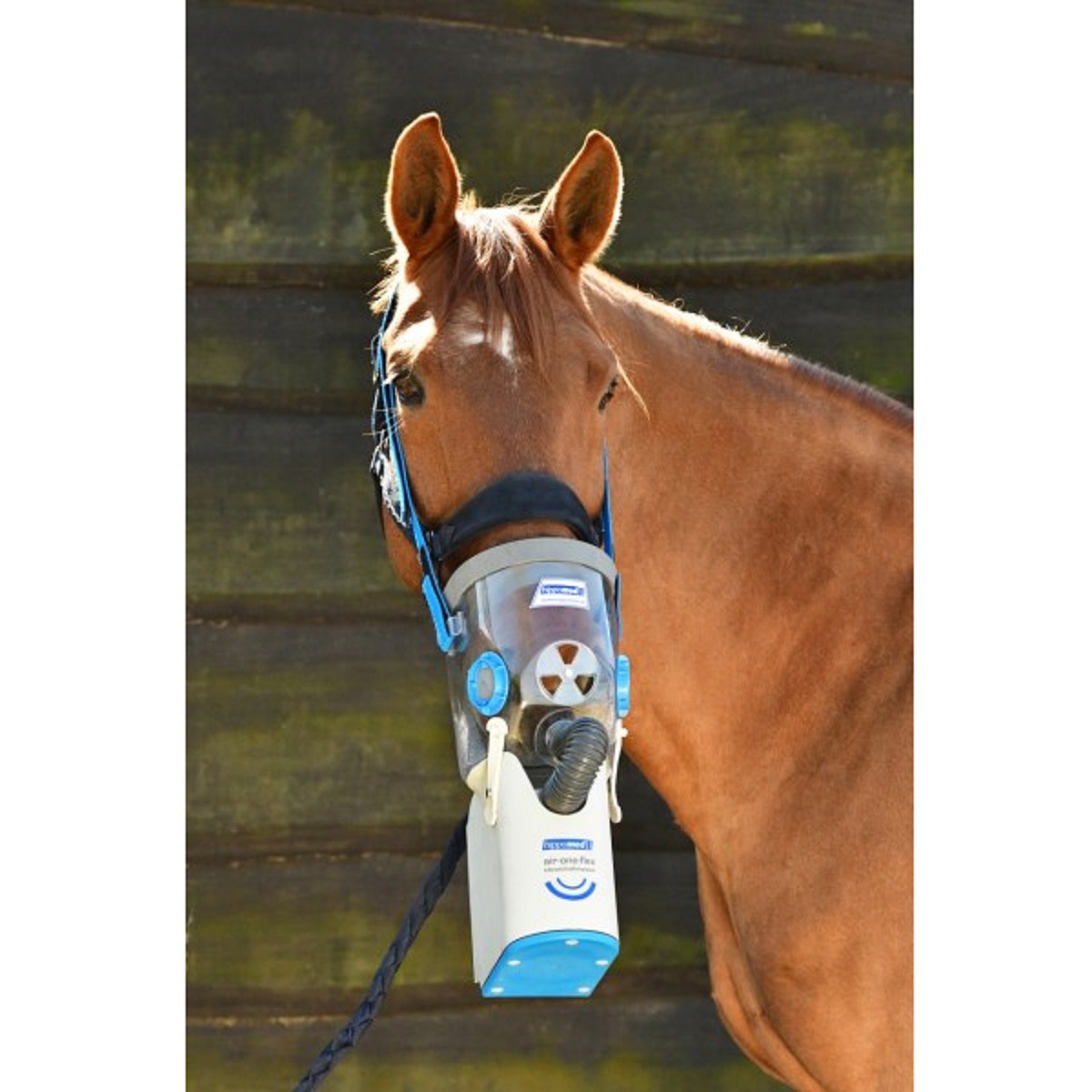 Hippomed Ultraschall-Inhalator Pferd AirOne Flex inkl. Warmblutmaske, Akku