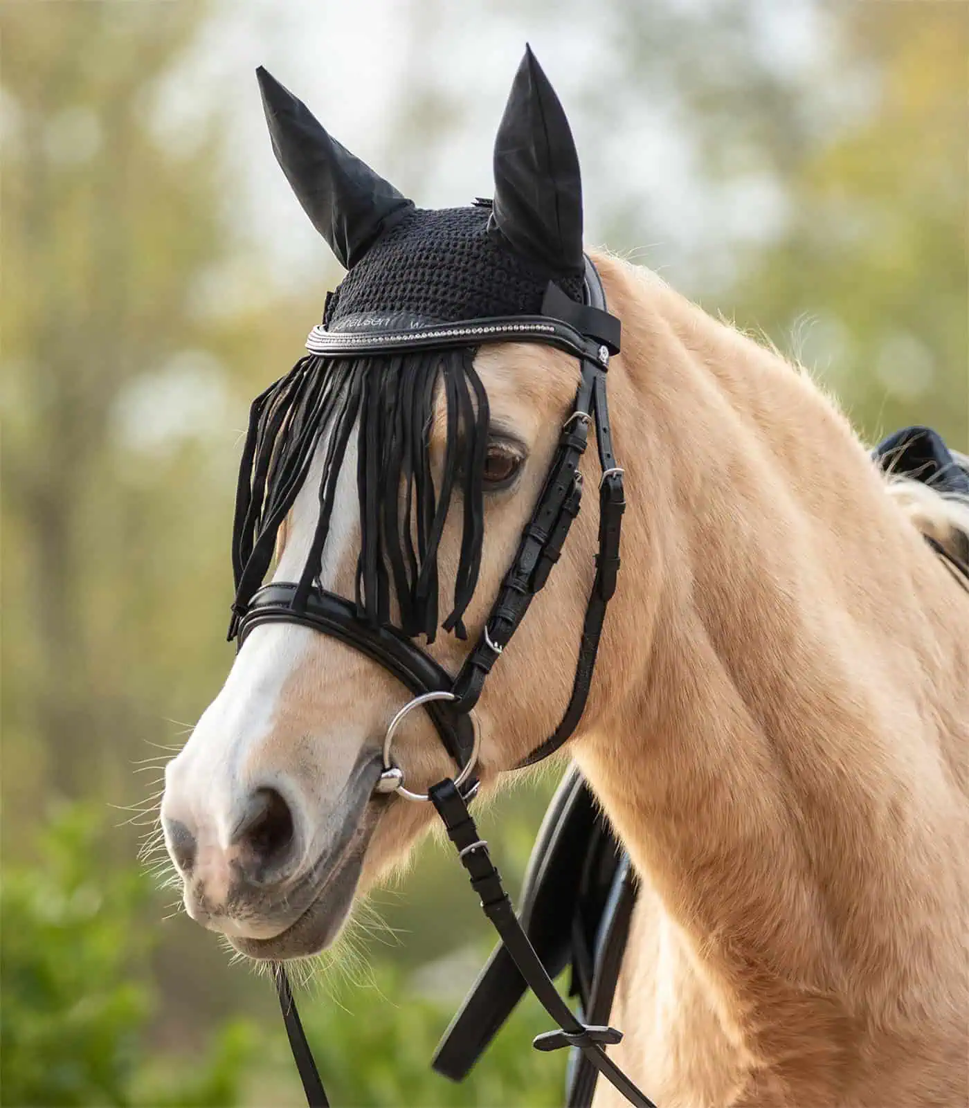 Waldhausen Fliegenohren mit Fransen, schwarz, Pony