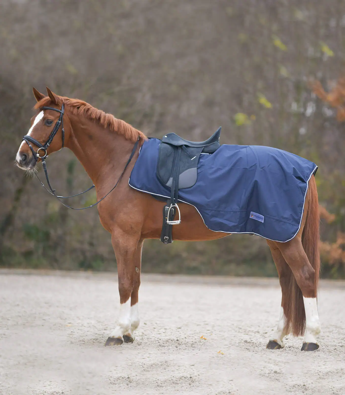 Waldhausen Regen Ausreitdecke, nachtblau, Pony