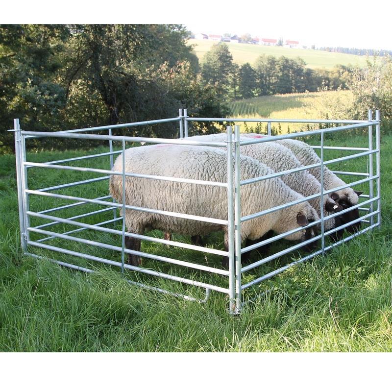 4x Steckfixhorde für Schafe 1,83 x 0,92 m