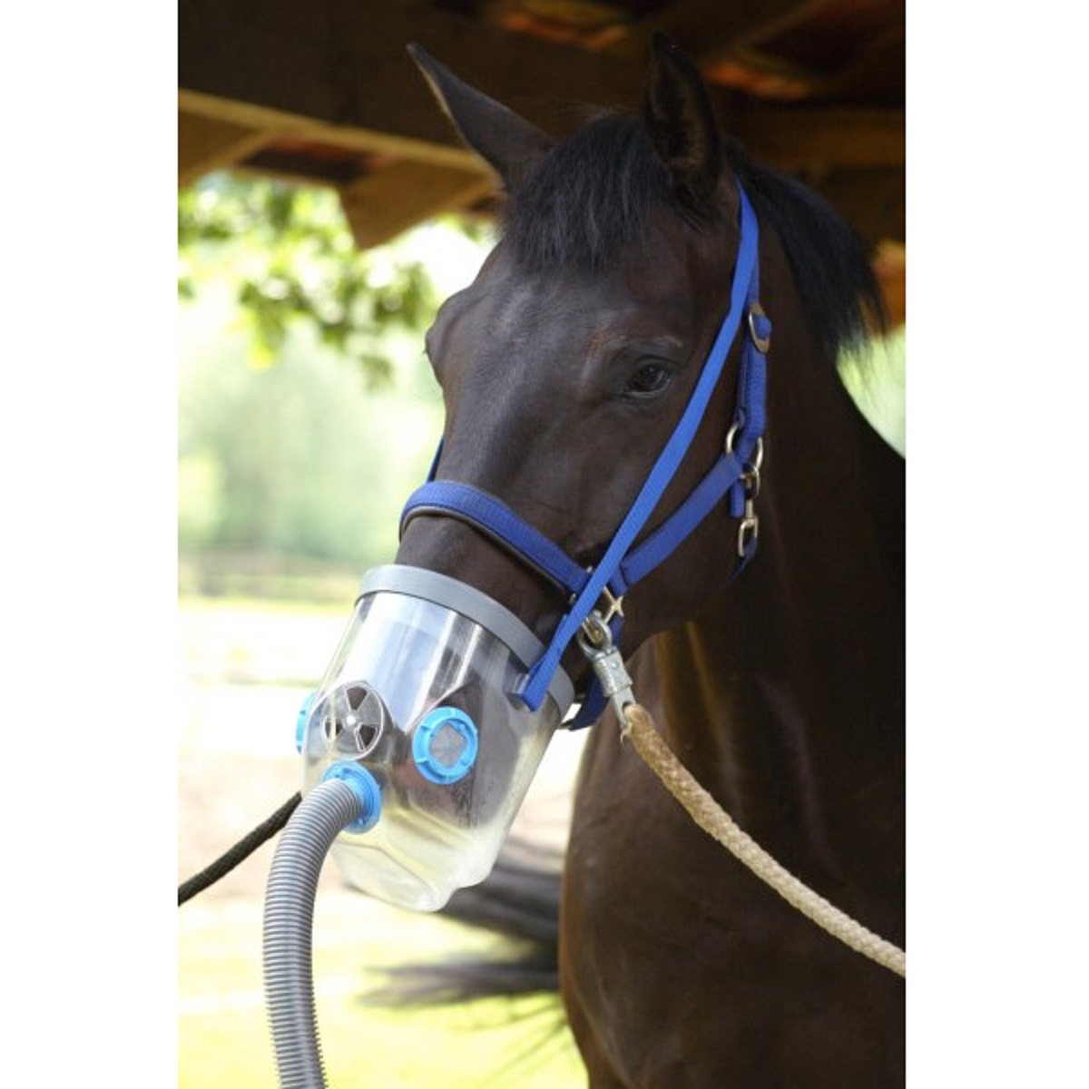 Hippomed Ultraschall-Inhalator Pferd AirOne inkl. Warmblutmaske