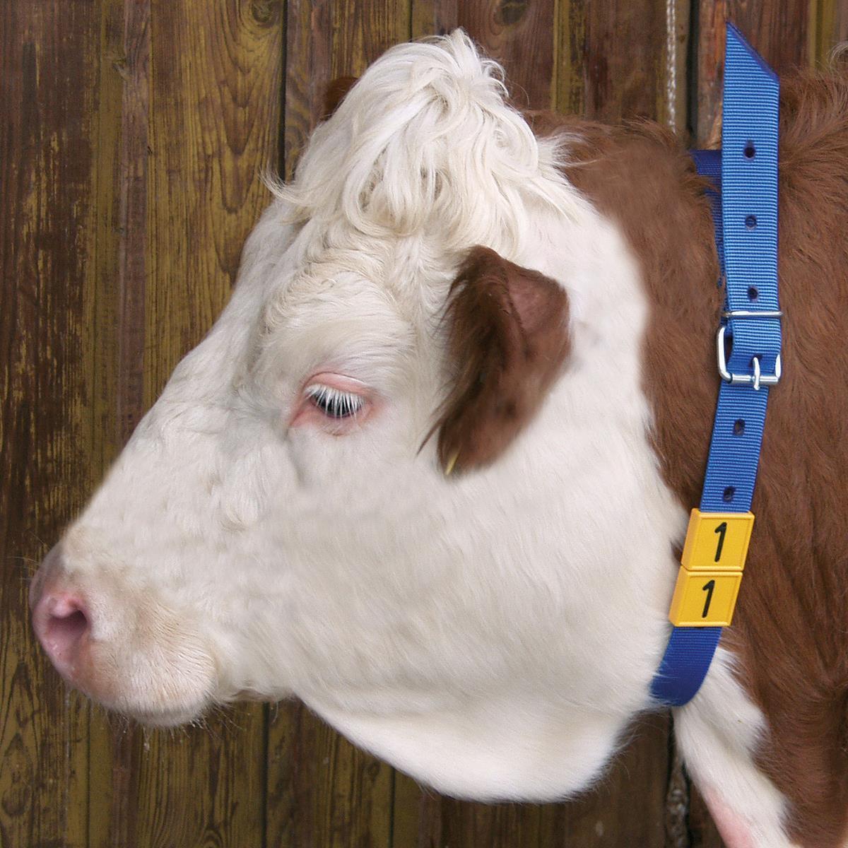 Halsmarkierungsband für Kühe weiß/schwarz 120 cm