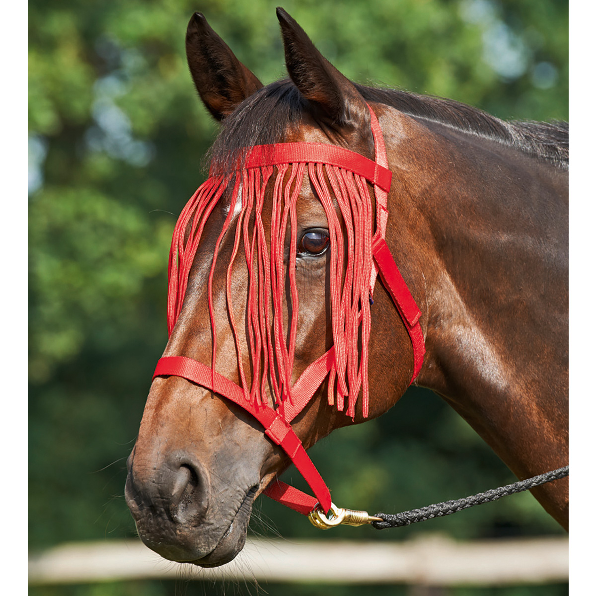 BUSSE Halfter WEIDE-FRANSEN rot FULL