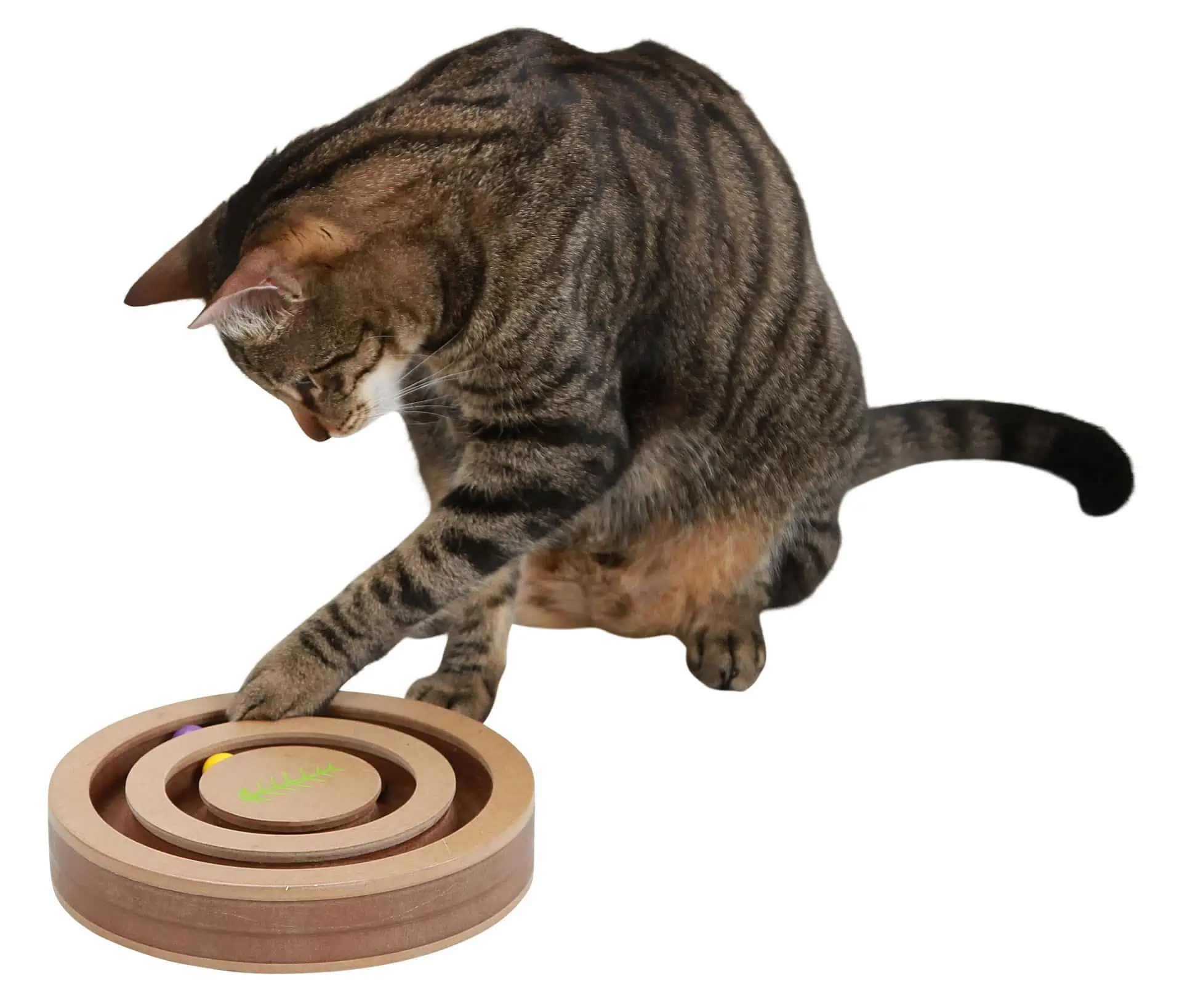 Denk- und Lernspielzeug Exciting für Katzen 20x9cm
