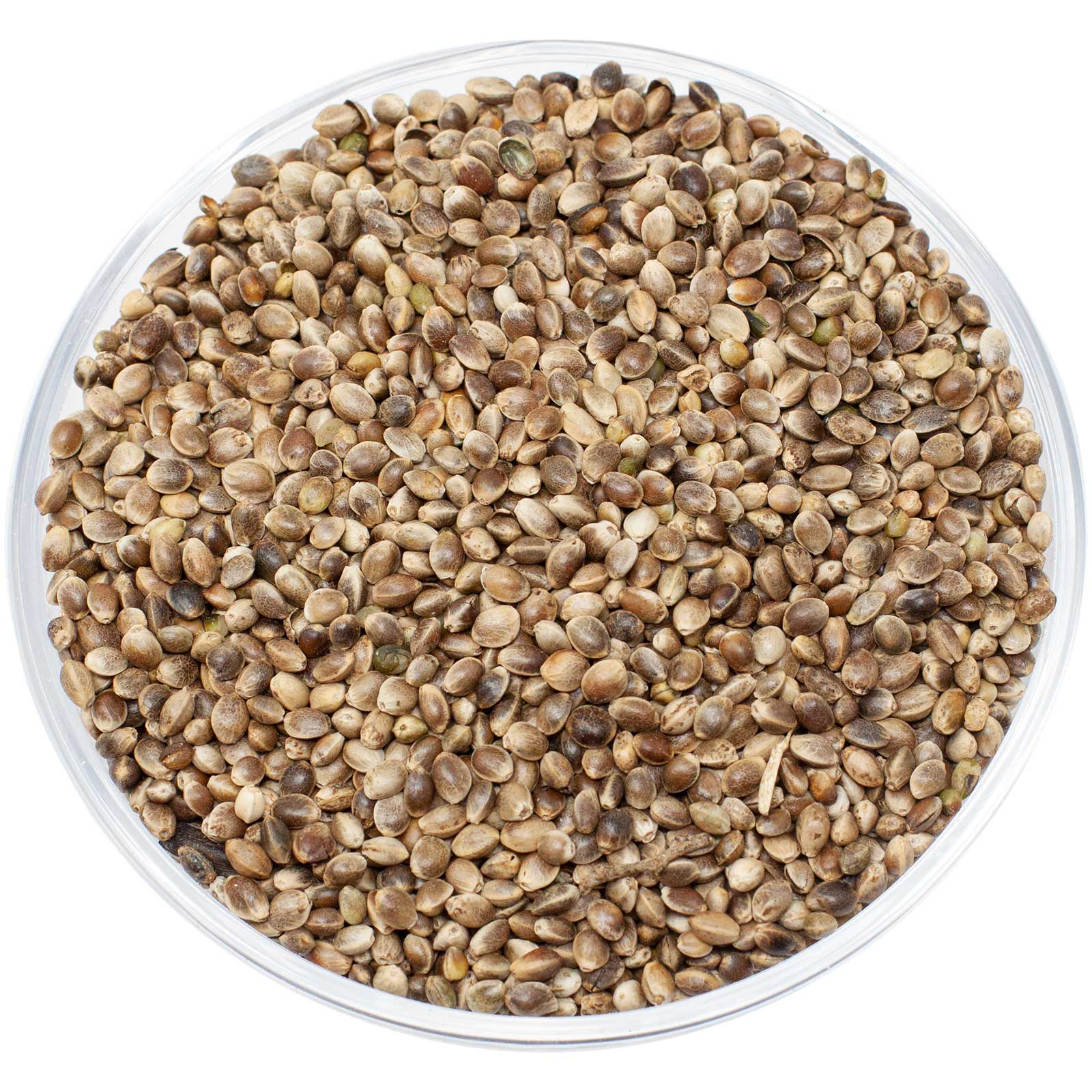 Leimüller Hanfsamen europäisch 5 kg
