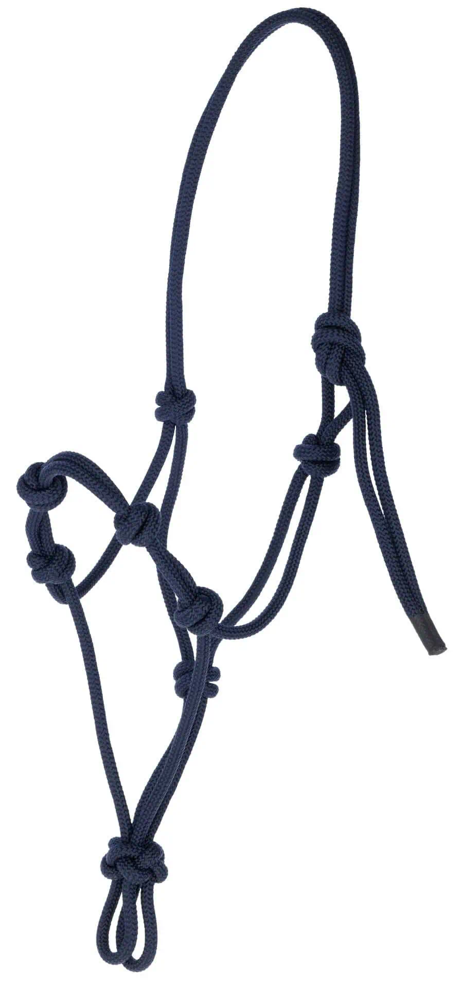 Covalliero Knotenhalfter, dunkelblau, COB
