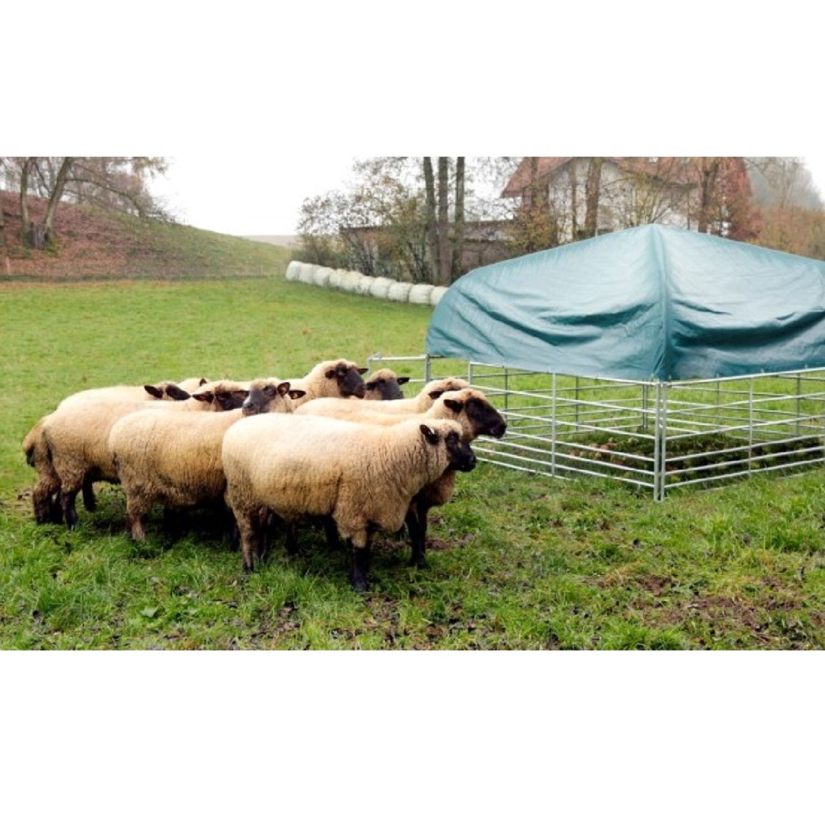 Weideunterstand für Schafe und Ziegen 2,75 x 2,75 m