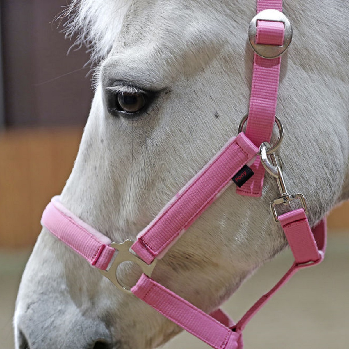 Halfter-Set Lilli Starlight mit Führstrick Pony