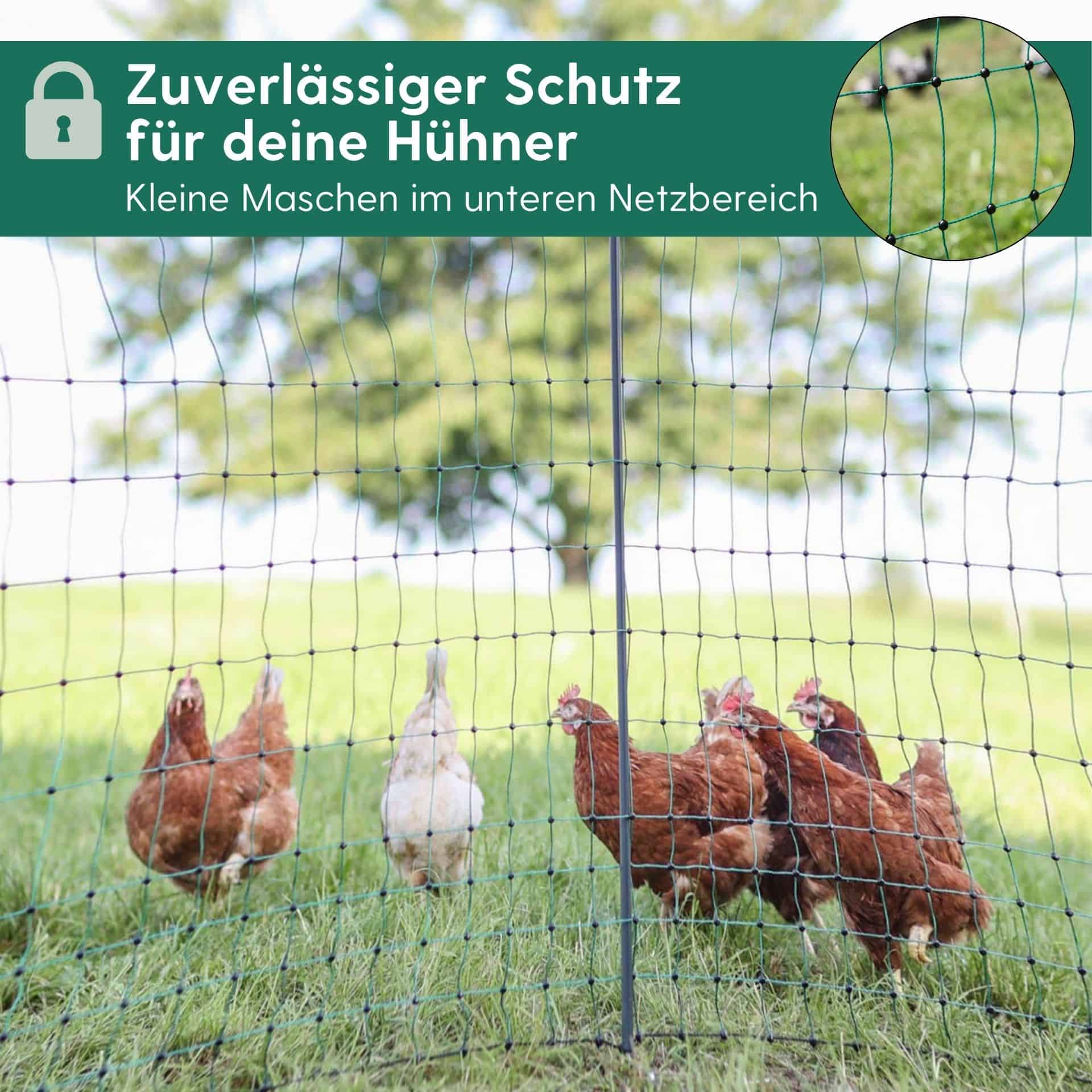 Agrarzone Geflügelnetz Classic mit Strom, Doppelspitze, grün 25 m x 106 cm