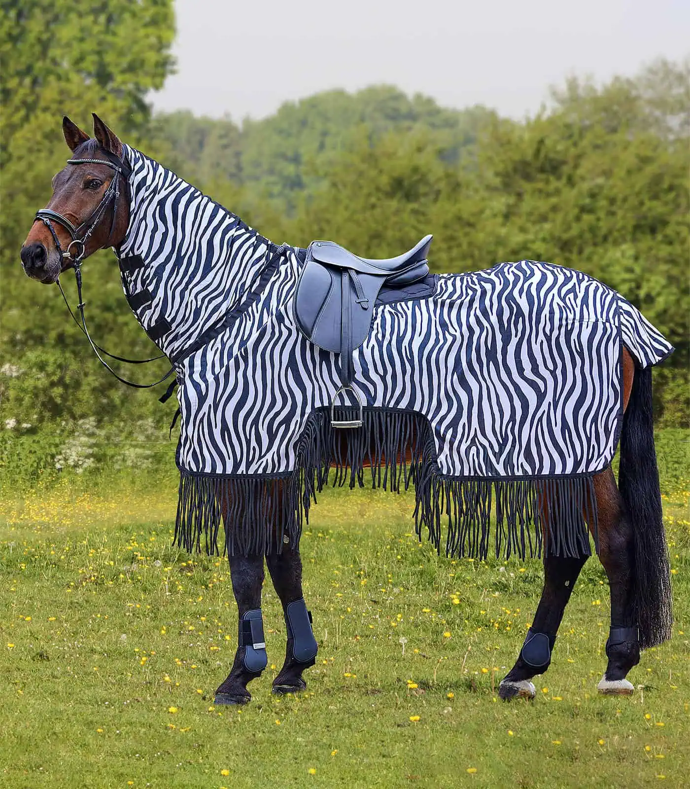 Waldhausen Fliegenausreitdecke Zebra mit Fransen, 125 cm