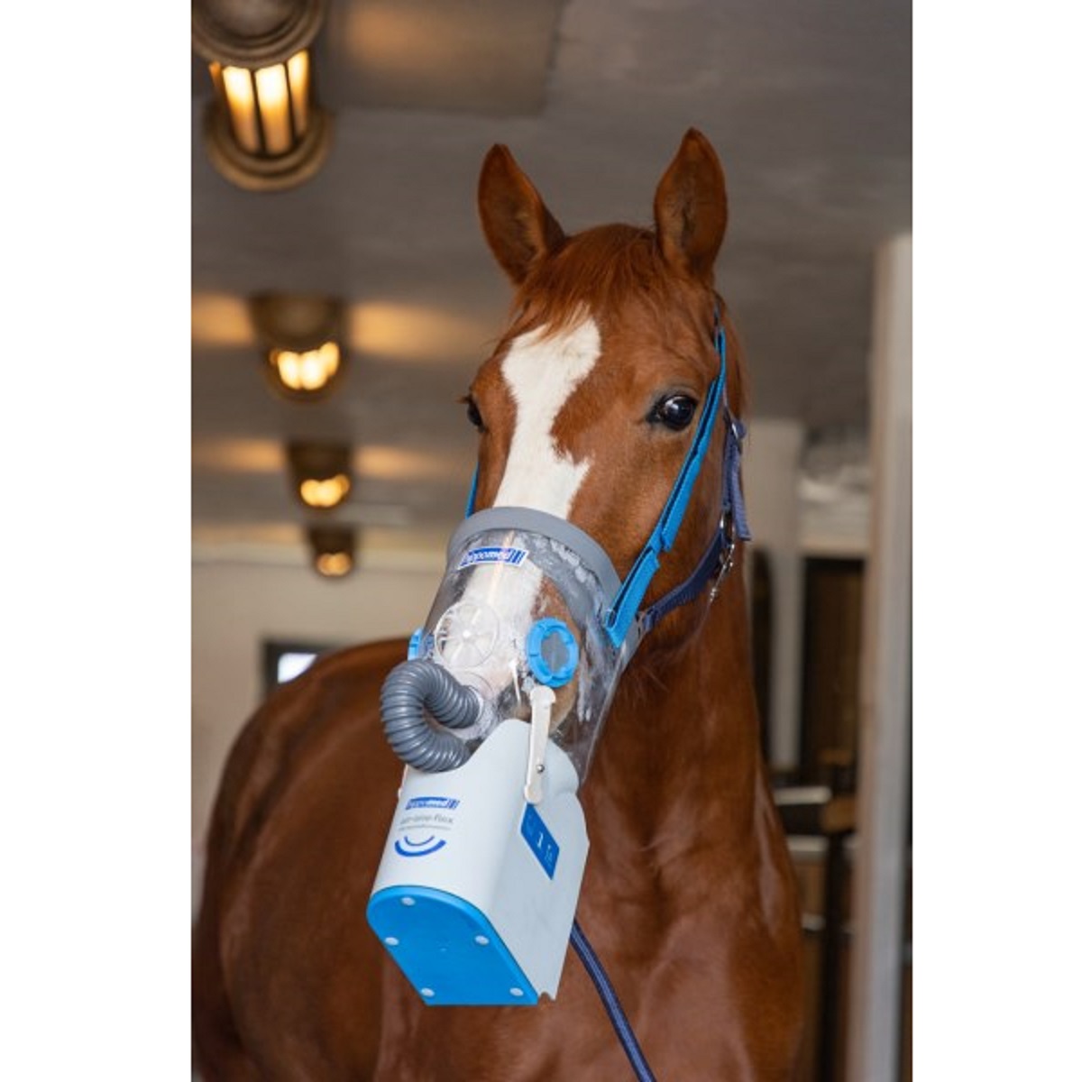 Hippomed Ultraschall-Inhalator Pferd AirOne Flex, Akku, ohne Maske