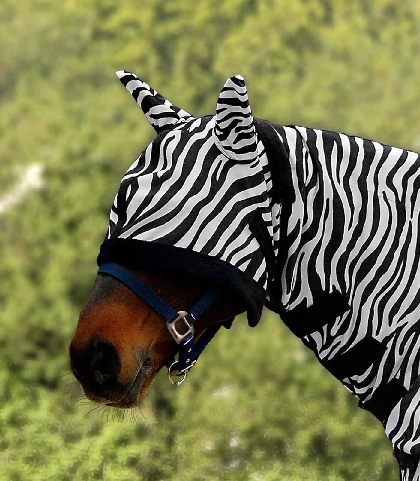 Waldhausen Fliegenmaske Zebra, Pony