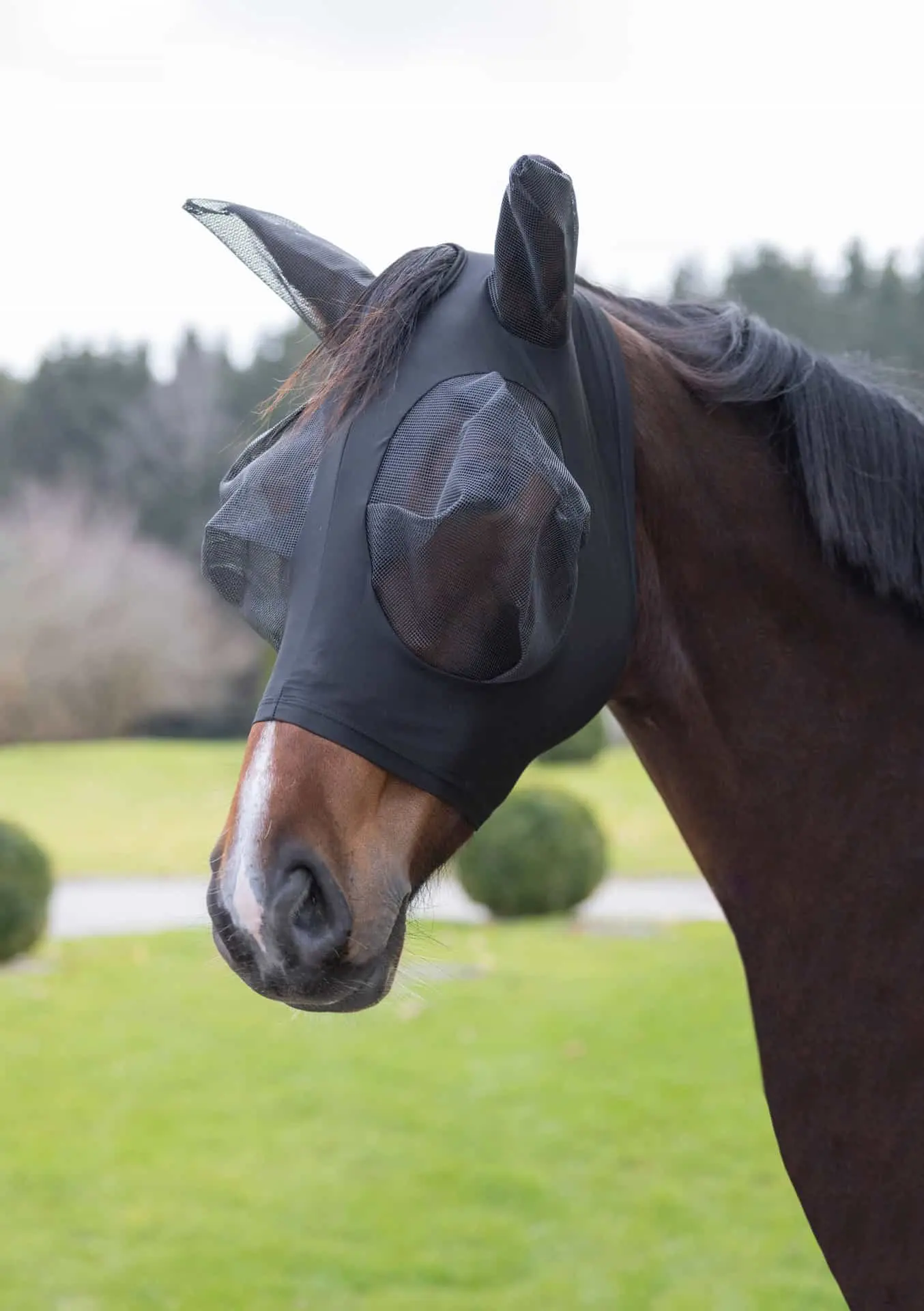 Fliegenschutzmaske FinoStrech schwarz, Pony