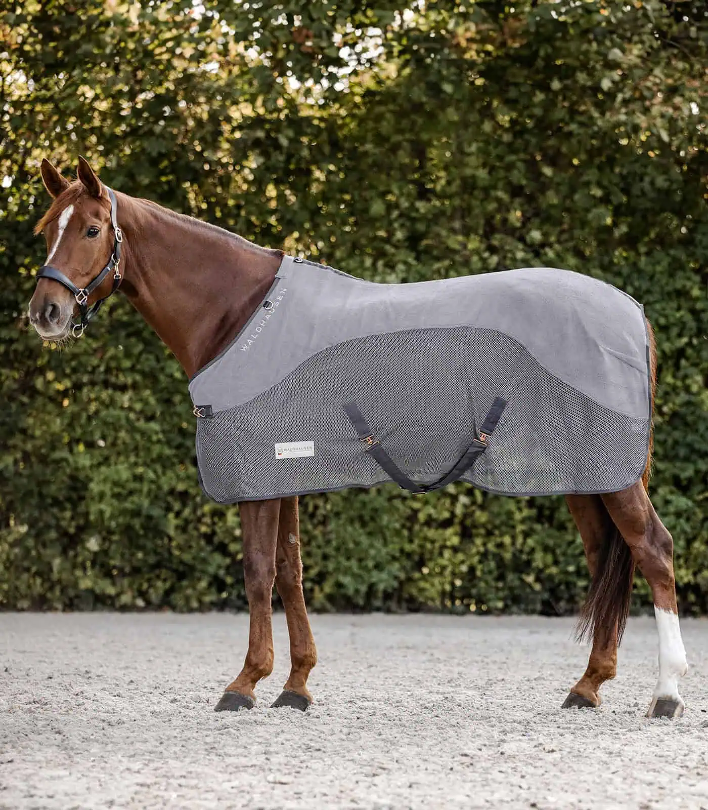 Waldhausen Fleece/Fliegendecke Comfort, grau, 145 cm