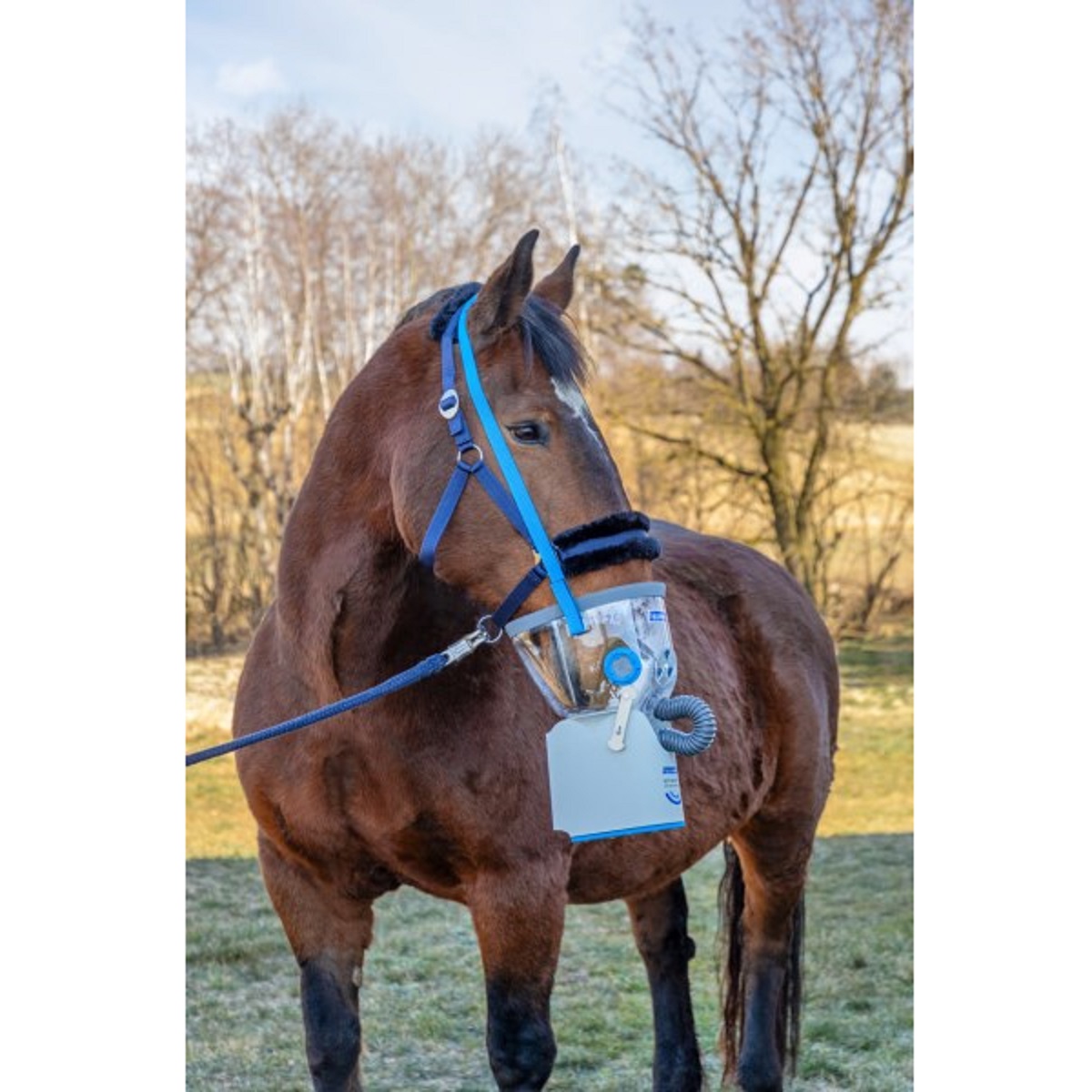 Hippomed Inhalationsmaske für AirOne Flex Pony