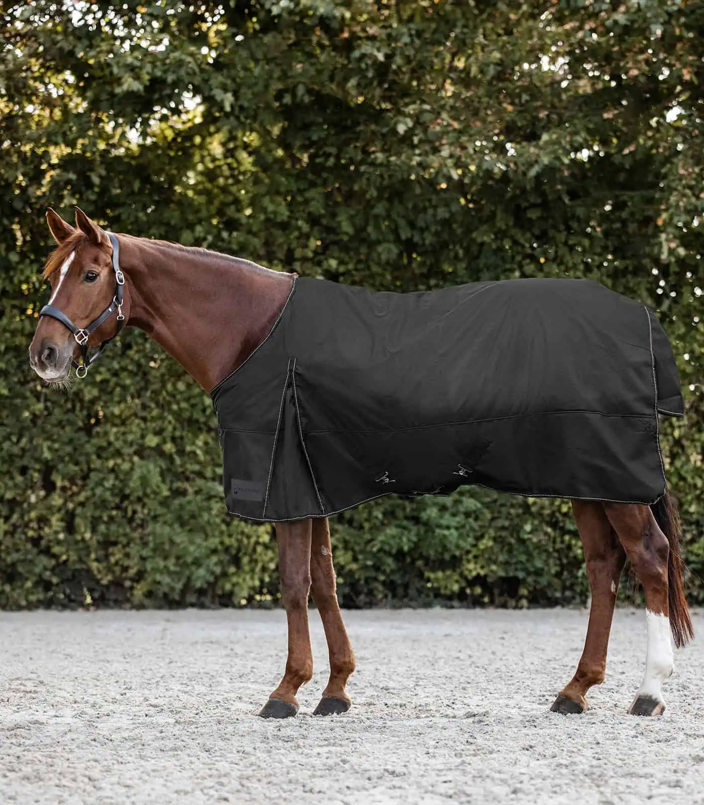 Waldhausen Outdoordecke Nordic, Fleece, schwarz, 105 cm