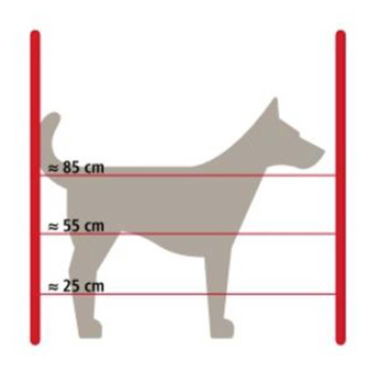 Hundezaun Komplett Set - Sicherheit für kleine, mittlere und große Hunde