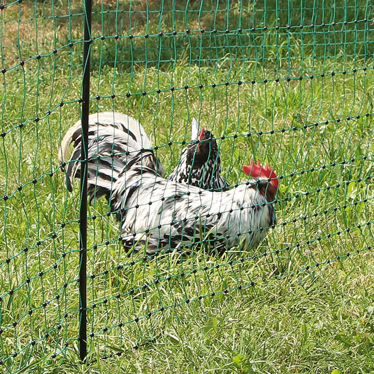 Kerbl Geflügelnetz Poultrynet grün 112cm 50 m Doppelspitze elektrifizierbar