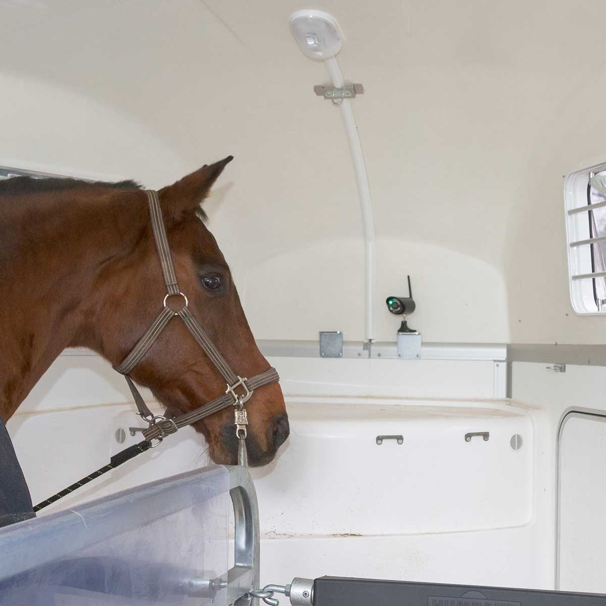 Kerbl SmartCam HD Pferdeüberwachung Stall- und Anhängerkamera