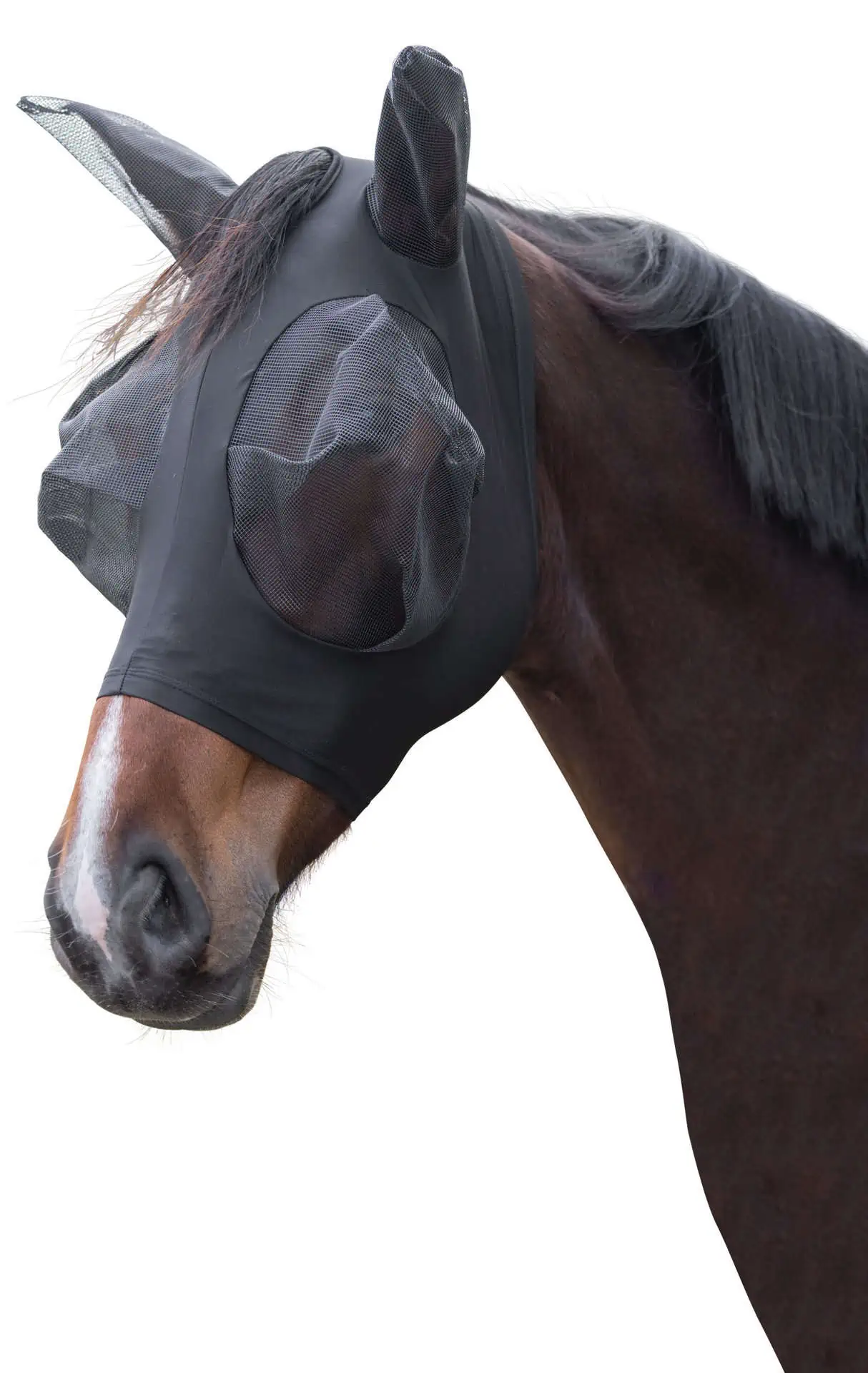 Fliegenschutzmaske FinoStrech schwarz, Pony