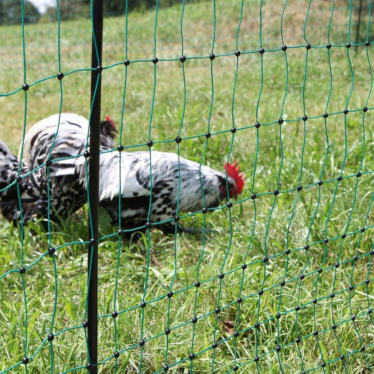 Kerbl Geflügelnetz Poultrynet grün 112cm 50 m Doppelspitze elektrifizierbar