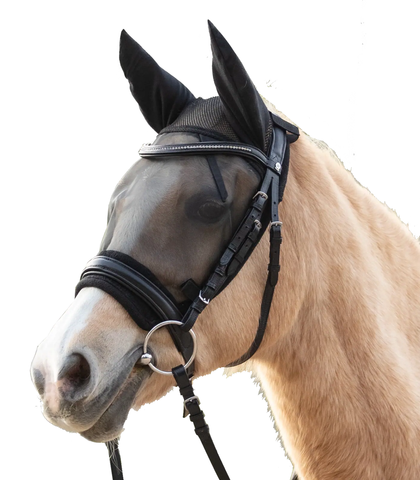 Waldhausen Fliegenmaske Ride, schwarz, Pony
