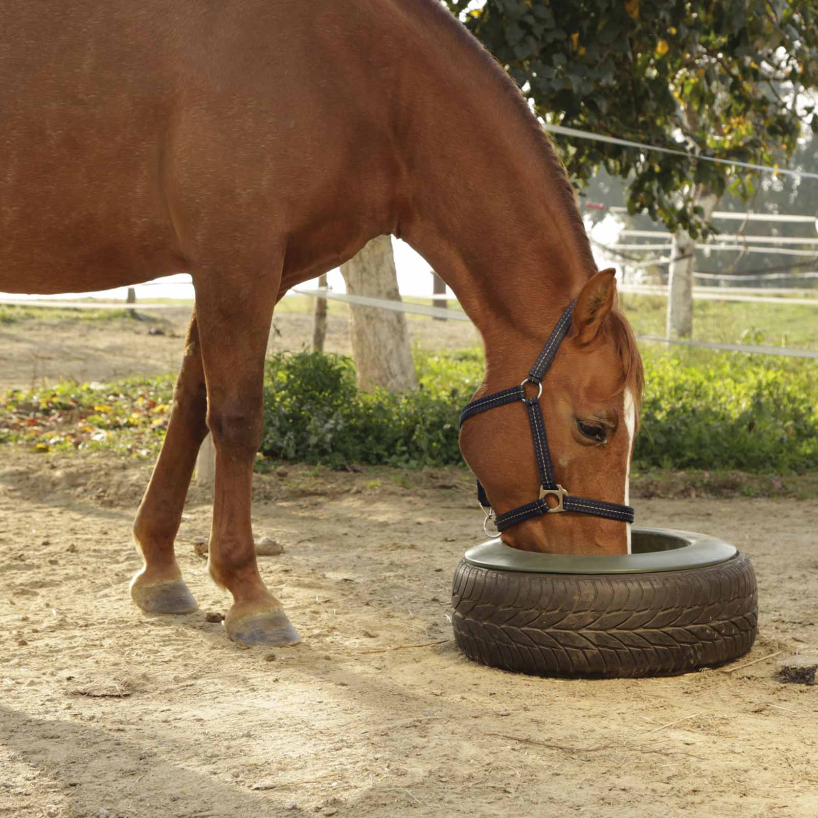 Kerbl Reifentrog für Pferde 15 L