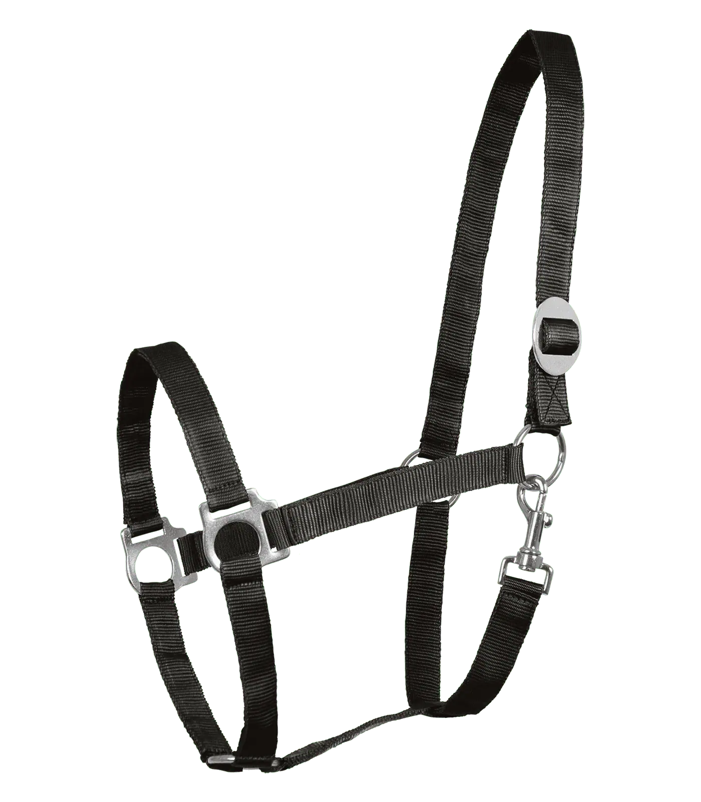 Waldhausen Perlonhalfter, schwarz, Pony