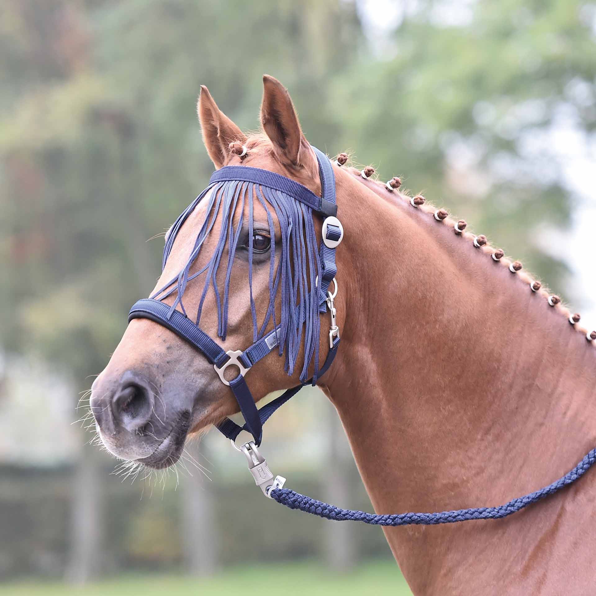 BUSSE Fliegenkordelband VISBY Pony marine