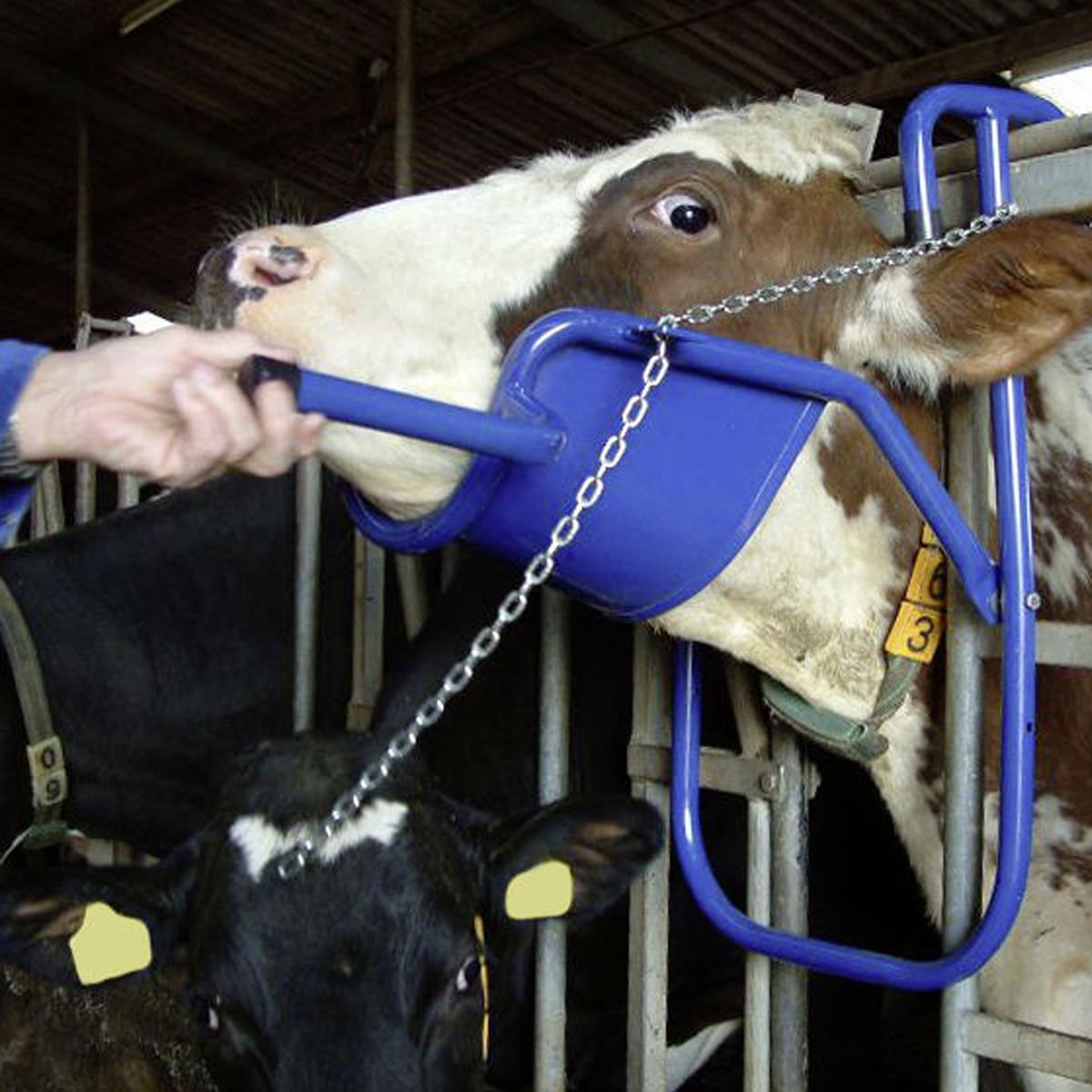 Vink-Kopfstütze für Kühe / Rinder