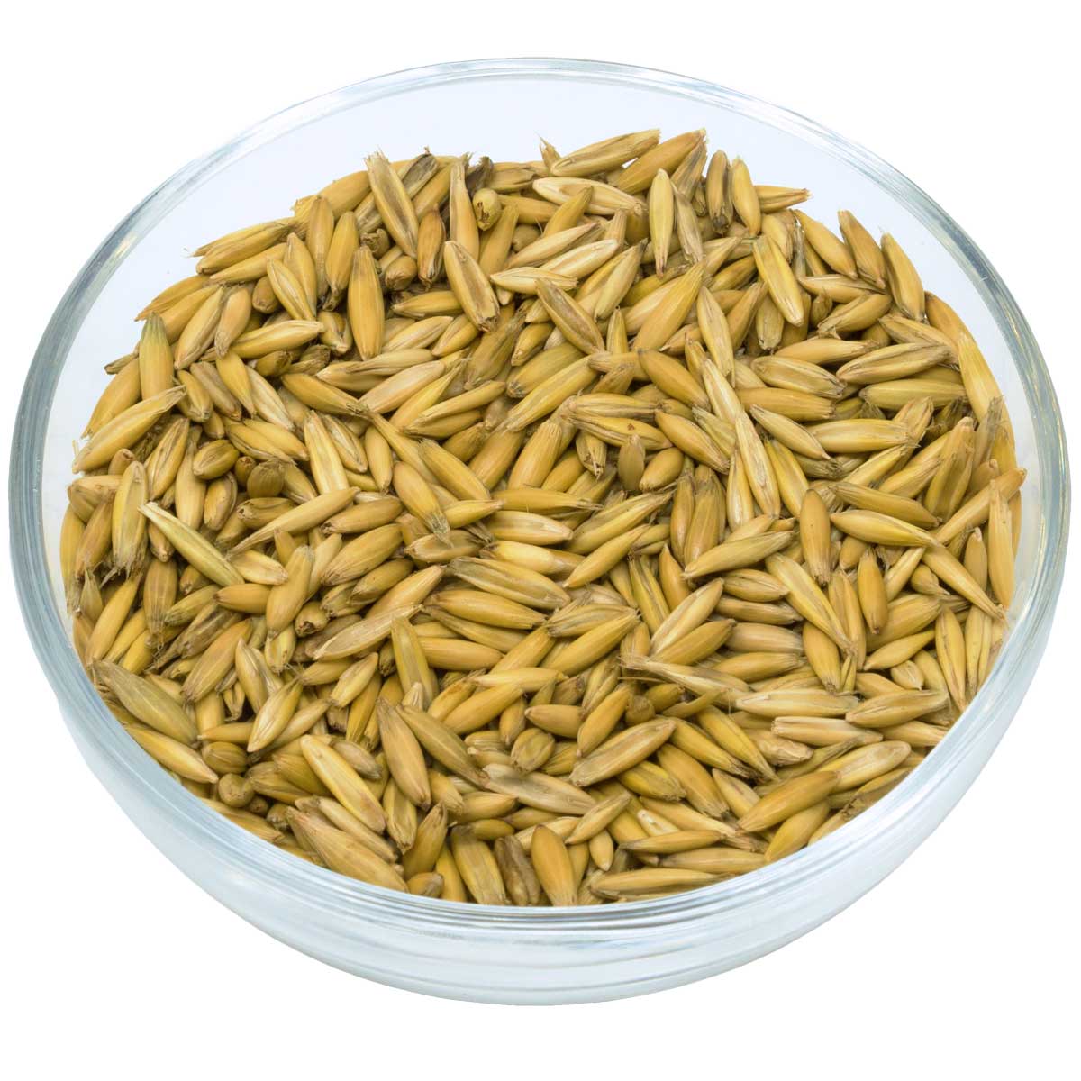 Haferer Bio Hafer 25 kg Premiumqualität aus Österreich kaufen