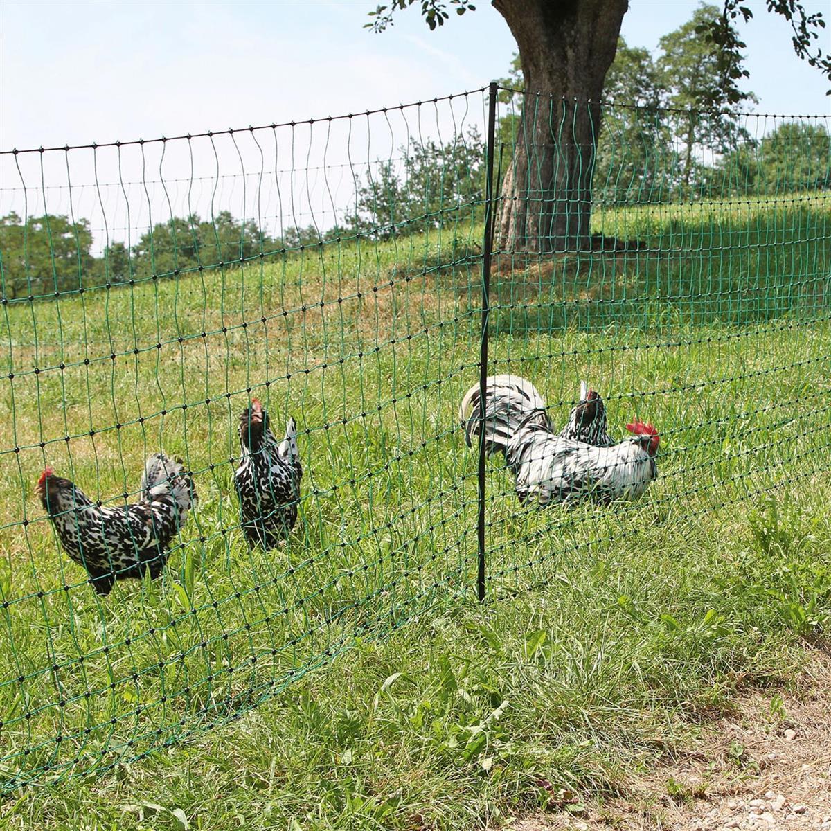 Kerbl Geflügelnetz Poultrynet grün 112cm 50 m Doppelspitze elektrifizierbar